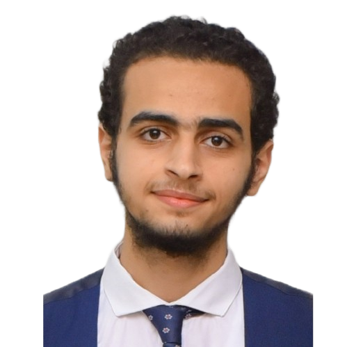 developer